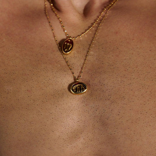 Asinus Taşlı Zincir Kolye